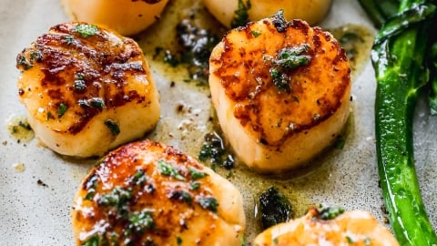 scallops